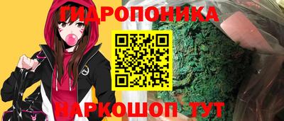 ешки Дубна