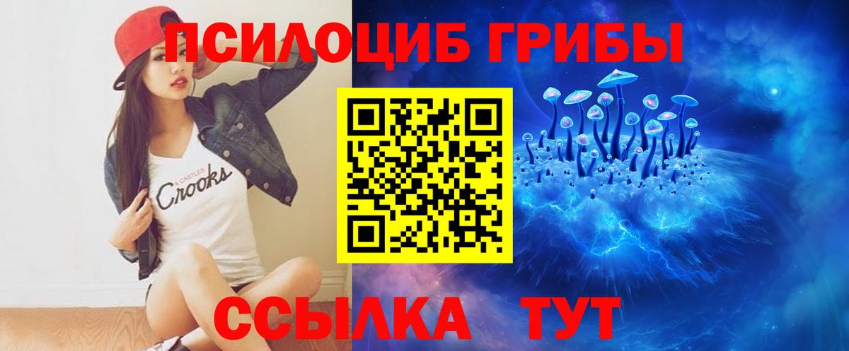 Галлюциногенные грибы Cubensis  Галлюциногенные грибы ЛСД  закладки  Вход с VPN  Кстово 